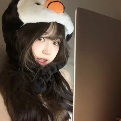 飞蛾日记